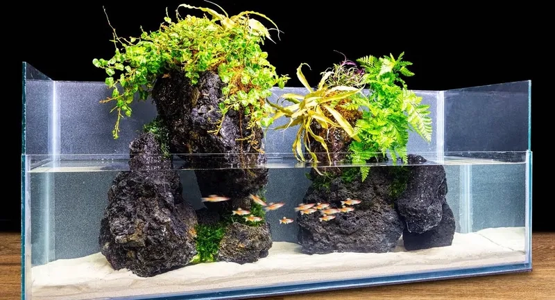 Tham khảo bảng báo giá bể bán cạn