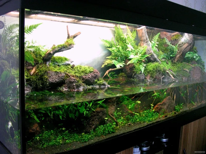 Hiệu ứng thác nước bể bán cạn