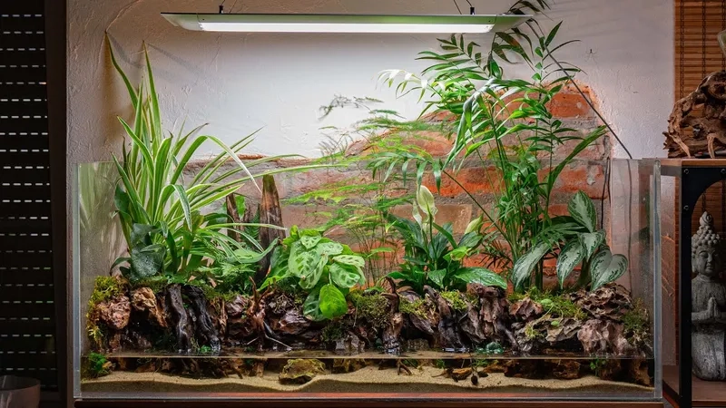 Các món phụ kiện bể bán cạn