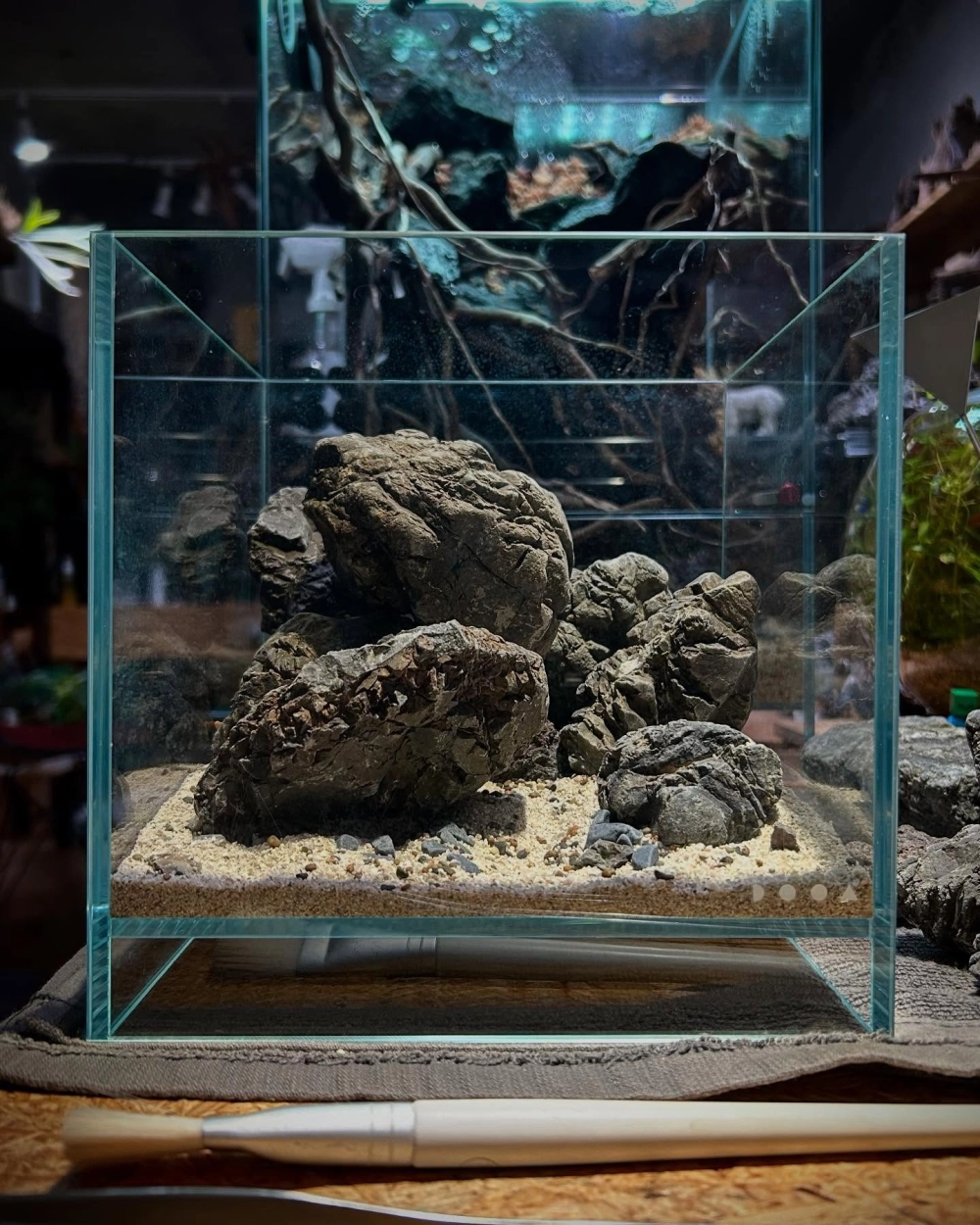 Cách chọn đá cuội có vân đẹp để decor bể cá