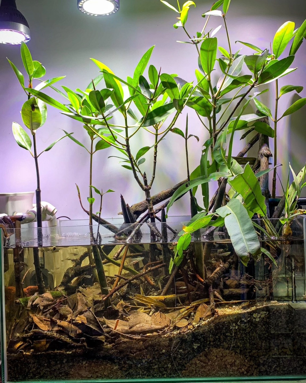 Cận cảnh lớp cát mịn và đá cuội tự nhiên