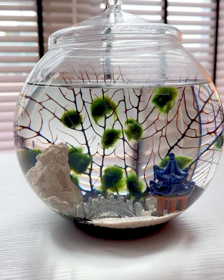 Bể cá hình cầu kết hợp thác nước nhỏ