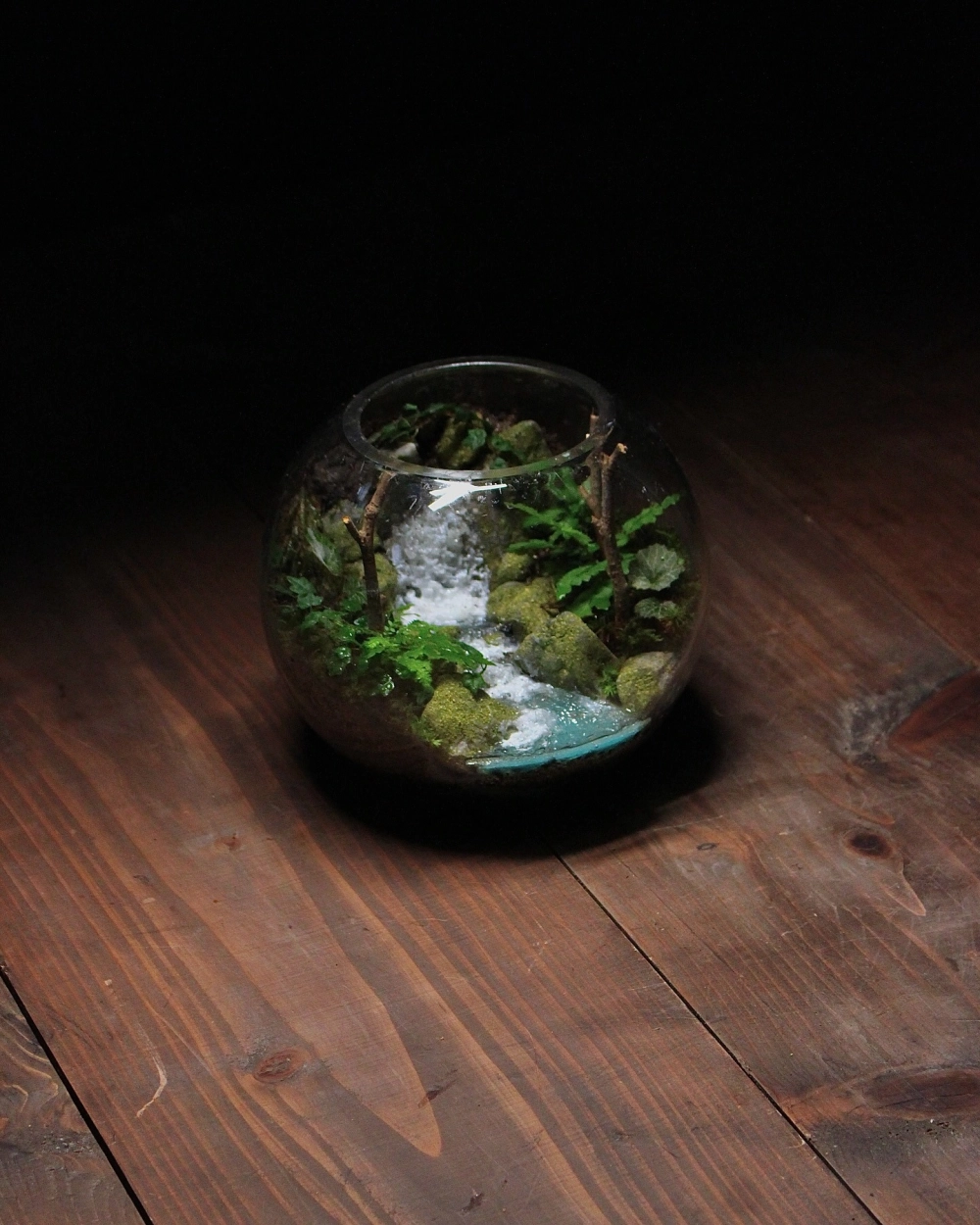 Thiết kế bể cá để bàn mang phong cách tối giản