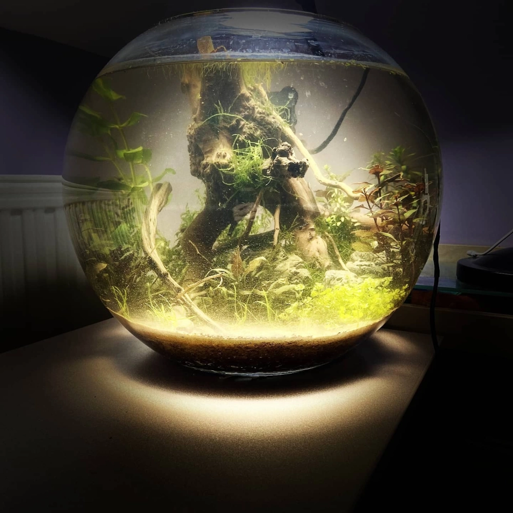 Hệ thống đèn led chiếu sáng cho bể cá hình cầu