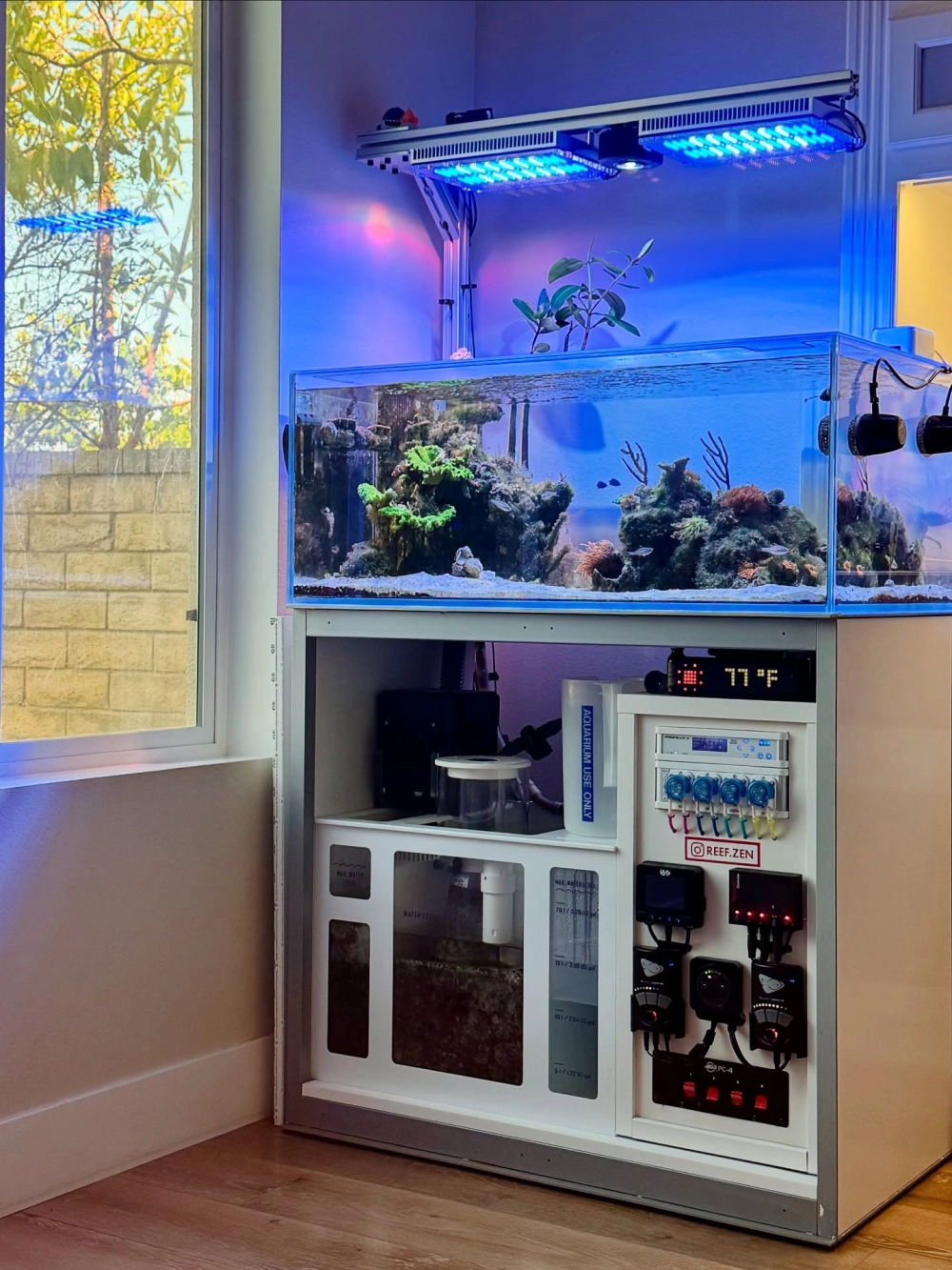 Sử dụng đá kẹp kem trang trí bể cá cảnh đẹp