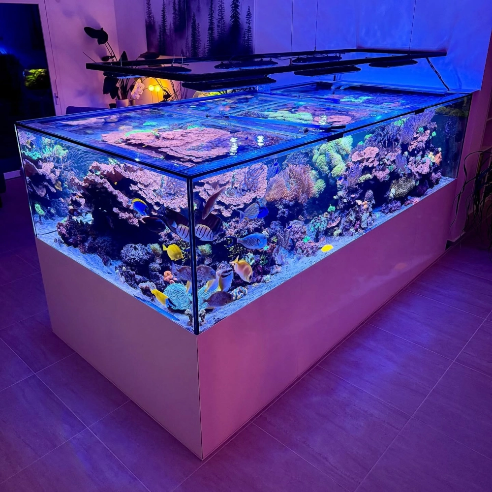 Hệ thống lọc tràn cho bể cá cảnh hình chữ nhật