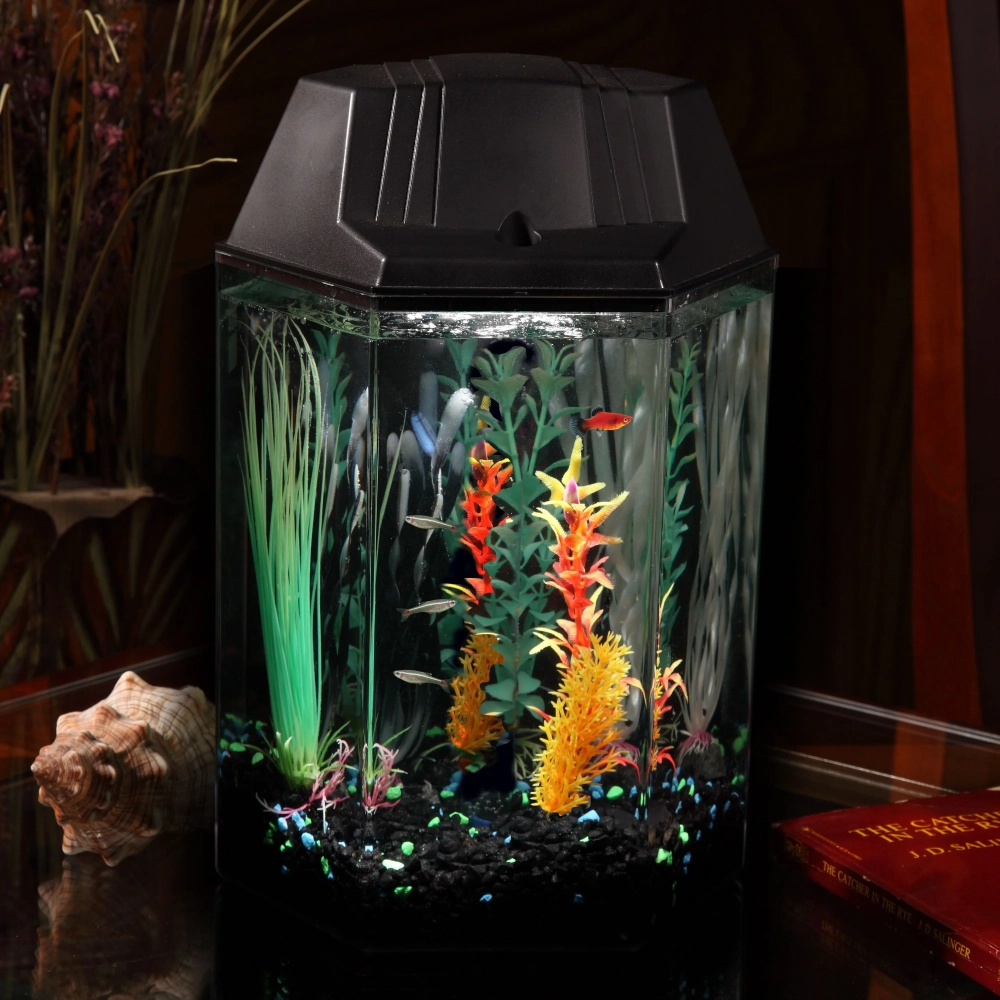 Bố cục cây thủy sinh đối xứng cho hồ cá sáu cạnh