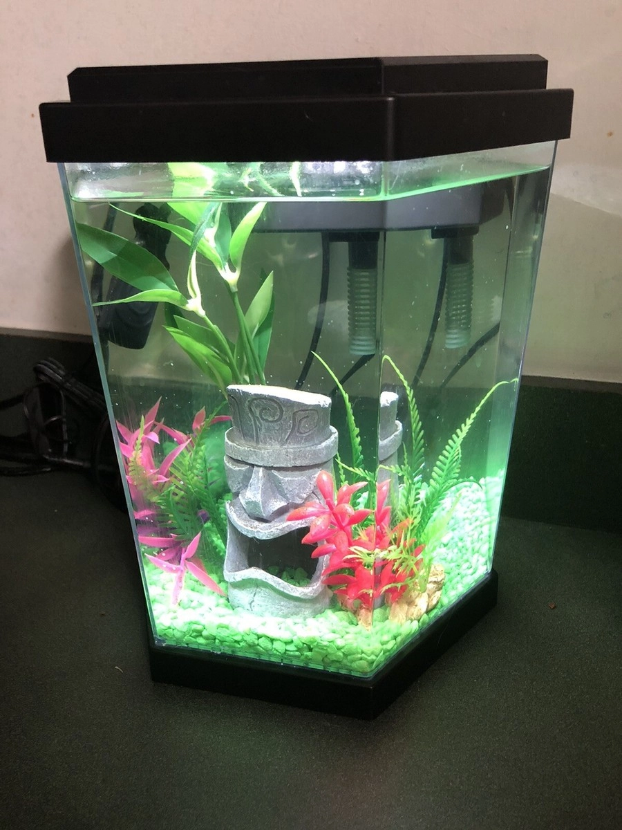 Góc decor bể cá lục giác phong cách Zen Nhật Bản