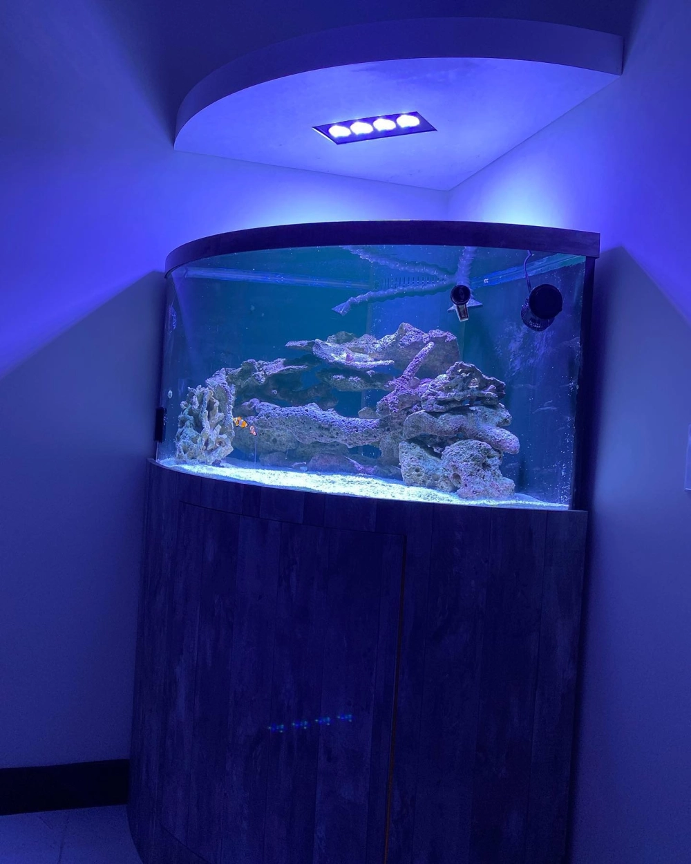 Mẫu decor bể cá tam giác phong cách tối giản với cát trắng