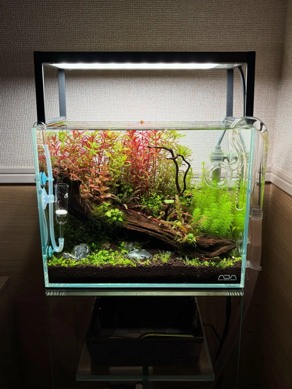 Thiết kế bể cá mini có đèn led màu trung tính dịu mắt