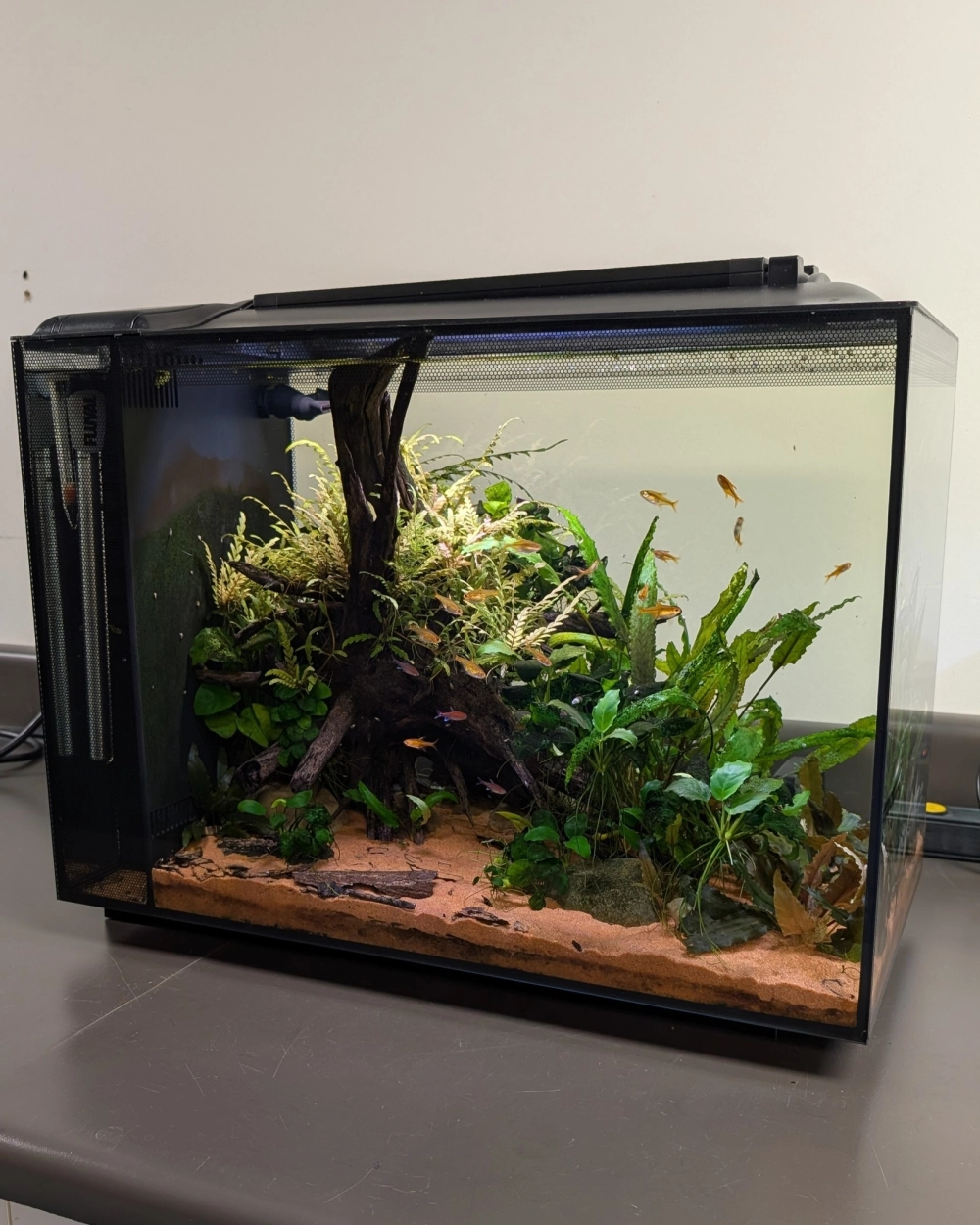 Cách lắp đặt lọc treo nhỏ gọn cho bể cá mini