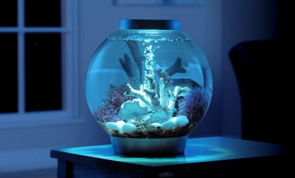 Thiết kế bể cá tròn phong cách Zen Nhật Bản