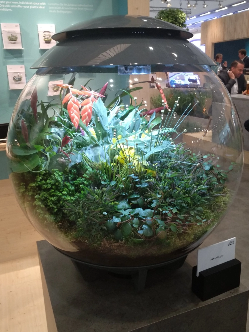 Mẫu bể cá tròn hiện đại cho không gian văn phòng