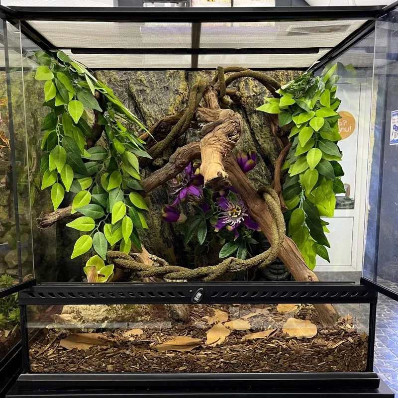 Lắp đặt mẫu đèn cho Terrarium