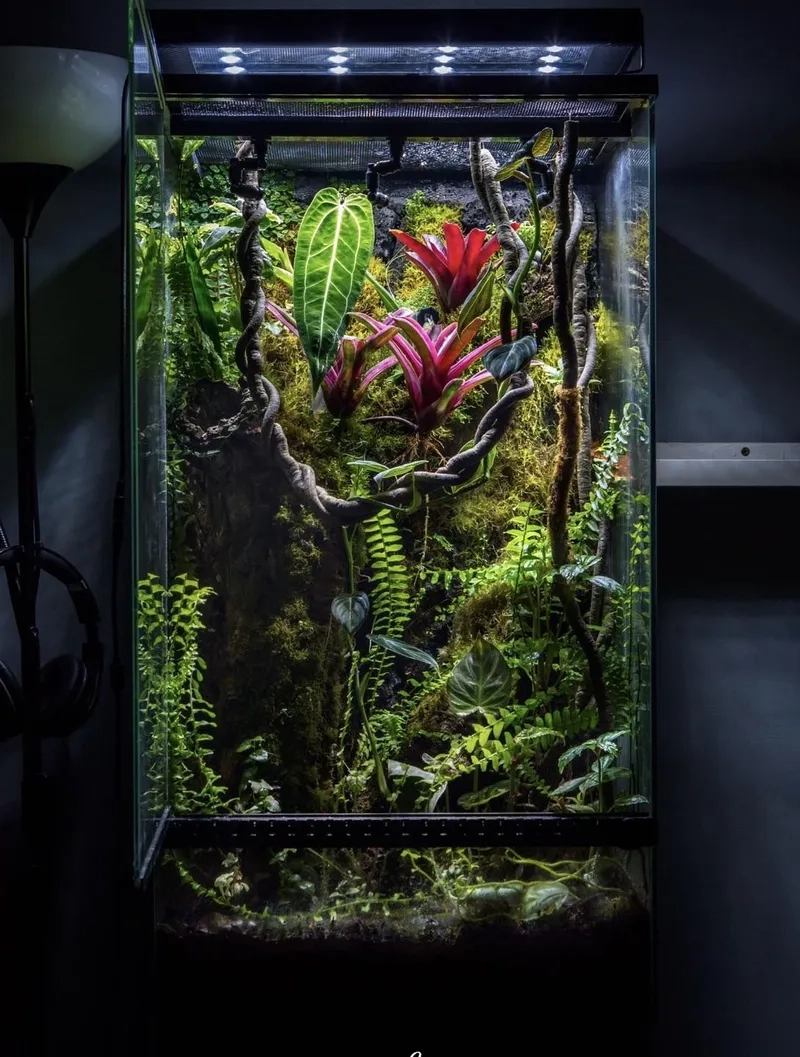 Nghệ thuật dựng Terrarium phong cảnh