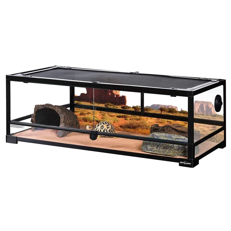 Tham gia các buổi Workshop Terrarium