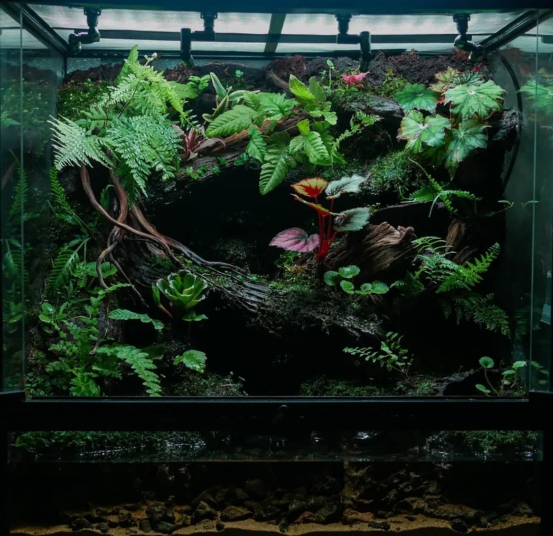 Tìm hiểu khái niệm Terrarium là gì