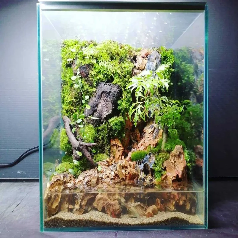 Hệ thống lọc cho bể 40cm sạch