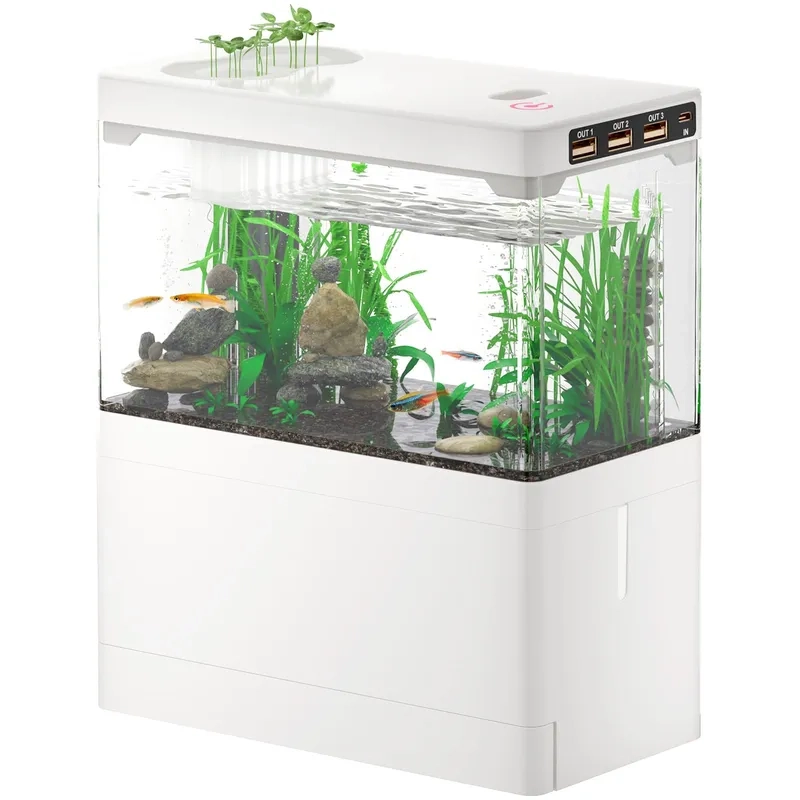 Mẫu bể 40cm lọc vách tiện lợi