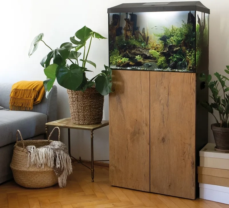 Kỹ thuật dán bể 40cm siêu trong