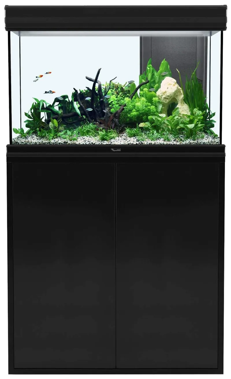 Các món phụ kiện bể 40cm cần có