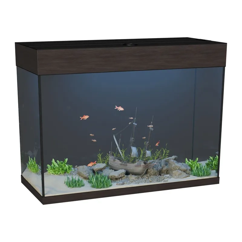 Các loại đá cho bể 40cm tự nhiên