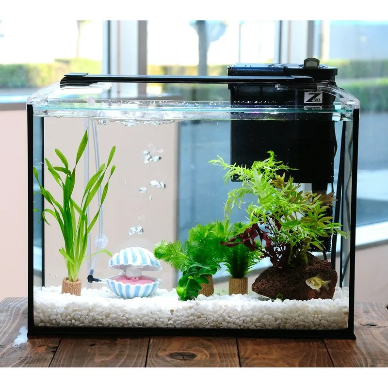 Các loại chân bể 40cm chắc chắn