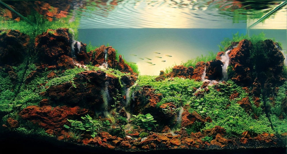 Mẫu hồ thủy sinh mini có thác nước cho không gian nhỏ