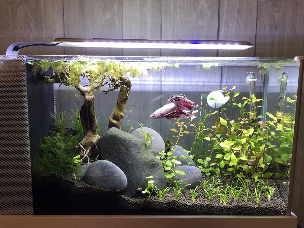 Hiệu ứng ánh sáng đèn led phản chiếu trên cát nền màu đen