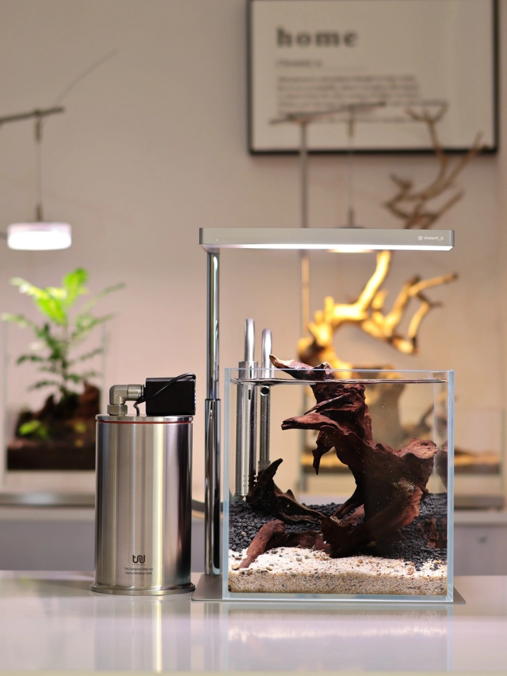 Sự kết hợp hoàn hảo giữa rêu xanh và cát trắng trong bể kính