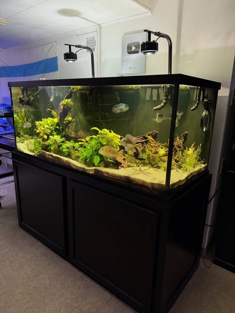 Cận cảnh lớp cát trắng mịn dùng trong decor bể thủy sinh