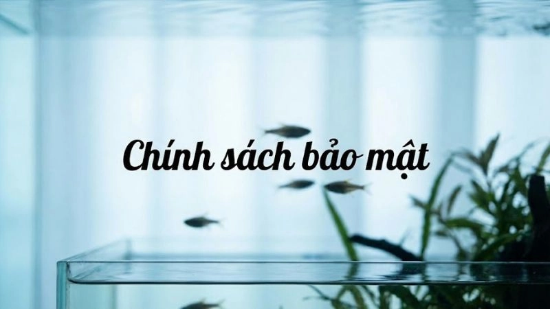 Cam kết bảo mật từ đội ngũ quản trị