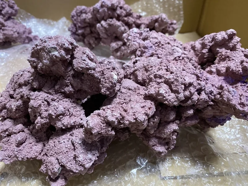 Khám phá ảnh Đá sống sinh động và rực rỡ