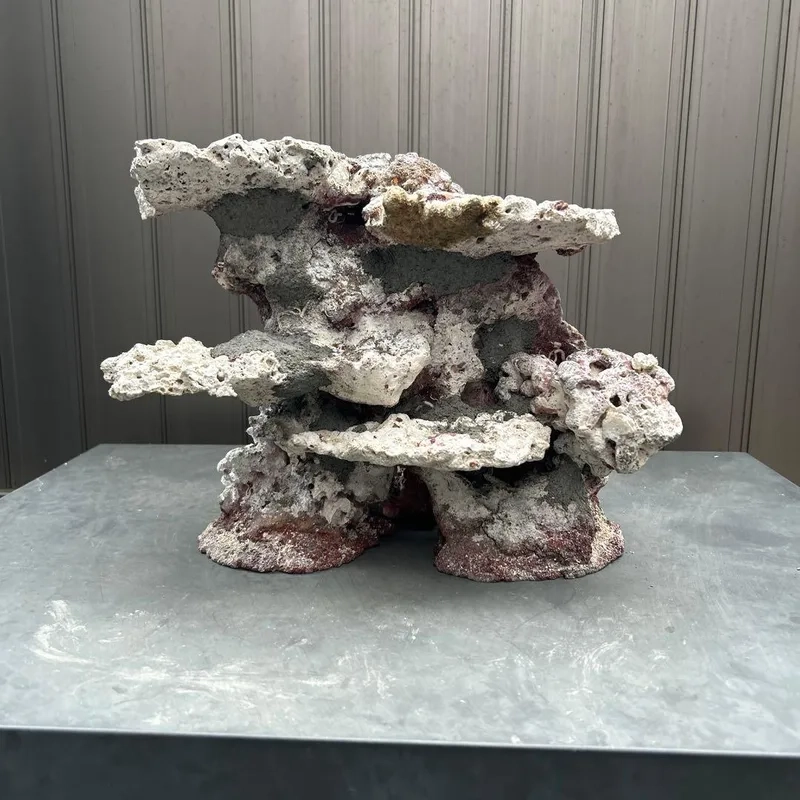 Chiêm ngưỡng hình đá sống nghệ thuật độc đáo và sáng tạo