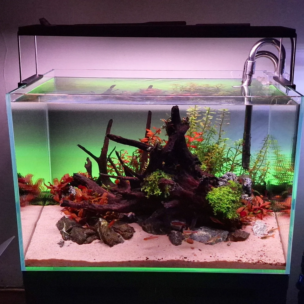 Không gian phòng khách sang trọng với bể cá trang trí đá tự nhiên