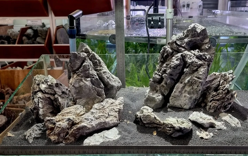 Những viên sỏi đa sắc màu lót nền cho bể cá vàng