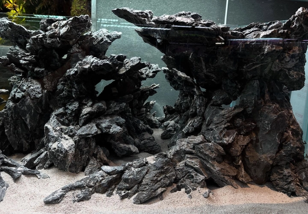 Hình ảnh đá đen Gia Lai tạo vẻ đẹp huyền bí cho bể cá