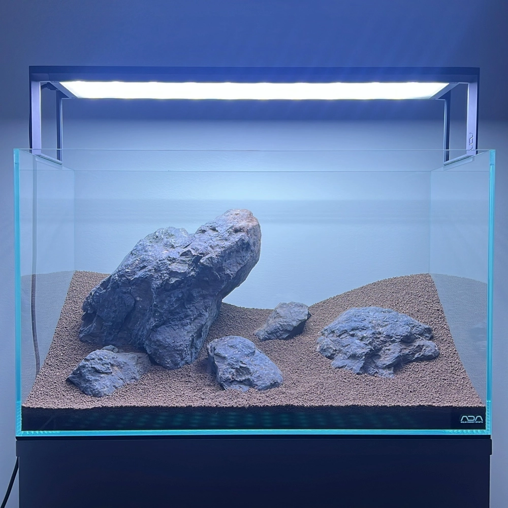 Thiết kế hồ cá thủy sinh với đá kẹp kem vân trắng đen