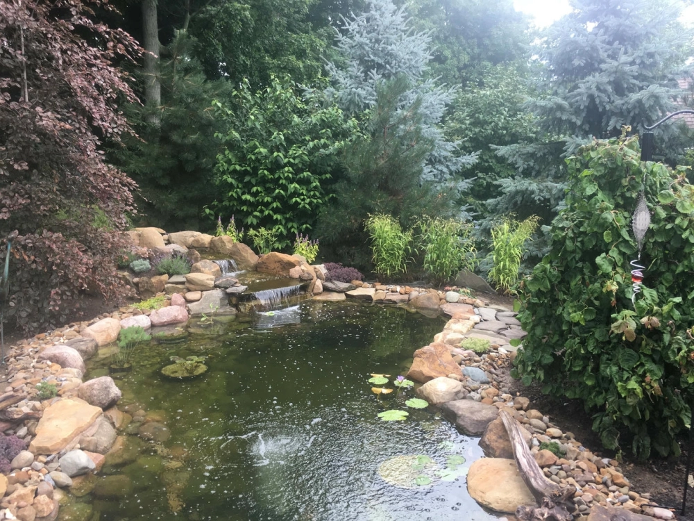 Hồ cá Koi có hệ thống đèn led âm nước lung linh