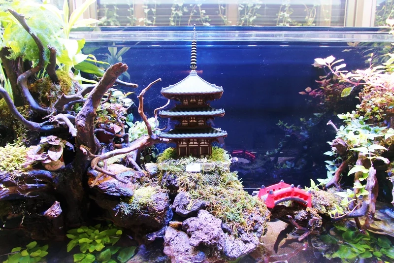 Đặc điểm của hồ cá biển đẹp sống động và bắt mắt