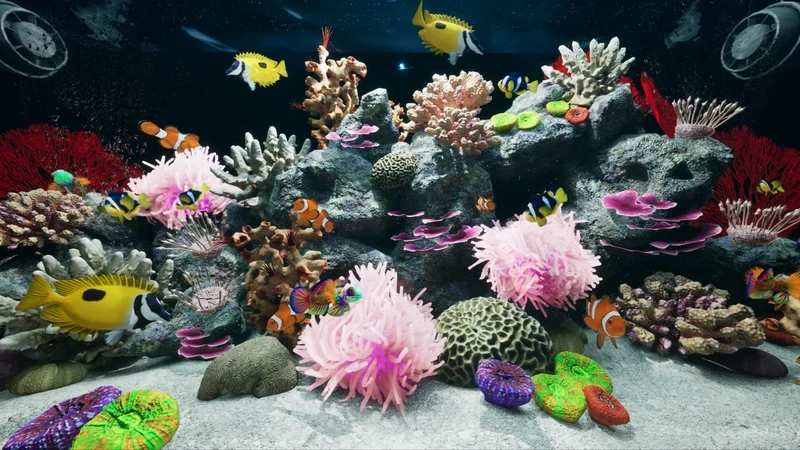 Lựa chọn cá nuôi hồ cá biển đẹp để bể thêm sinh động