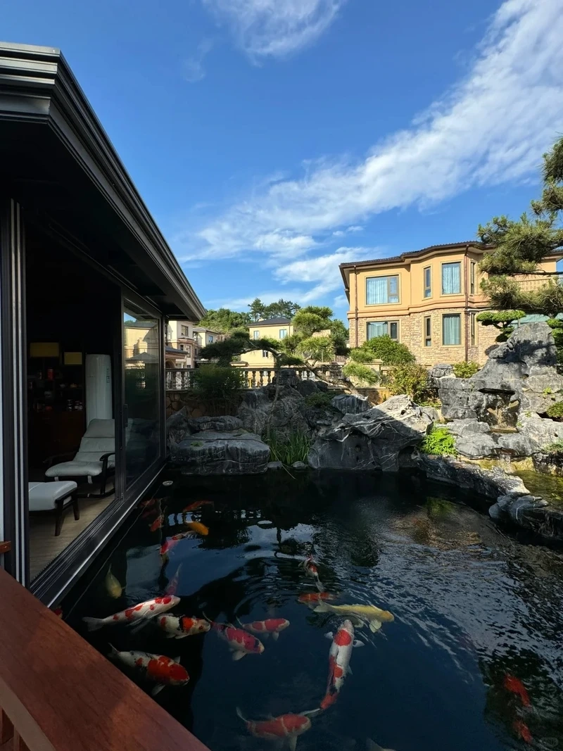 Sang trọng và tinh tế cùng hồ cá koi đẹp biệt thự