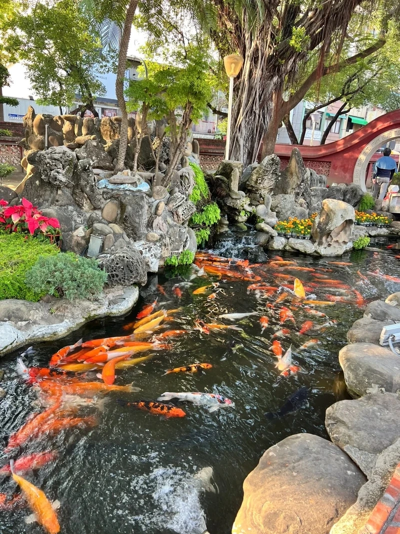 Không gian sang trọng mở ra từ hồ cá koi đẹp sang trọng