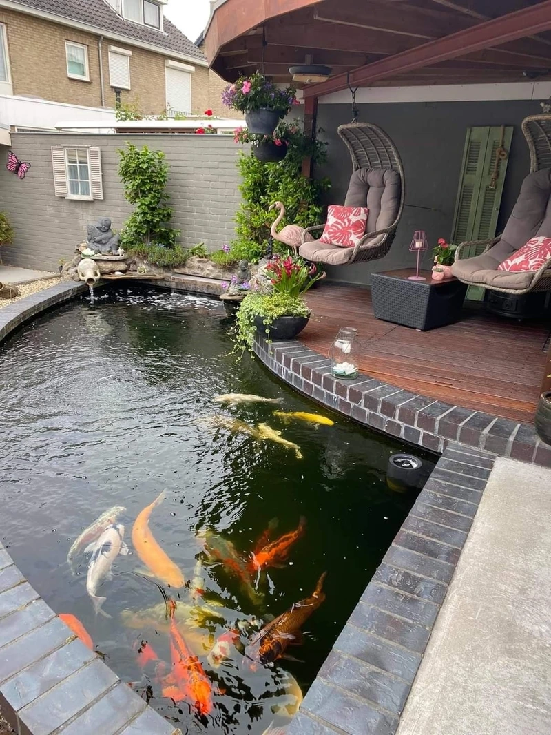 Thưởng thức hồ cá koi mini đẹp trong không gian nhà