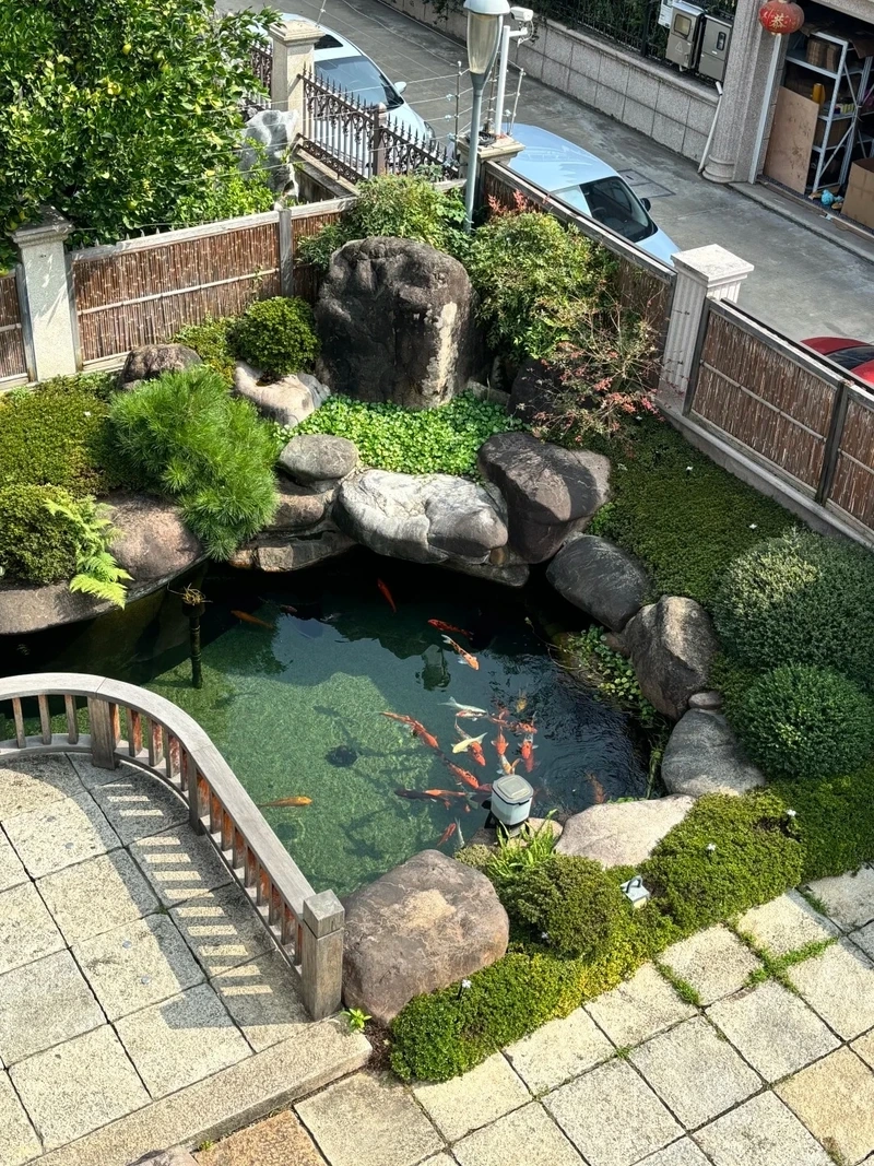 Trang trí không gian nhà với hồ cá koi mini trang trí