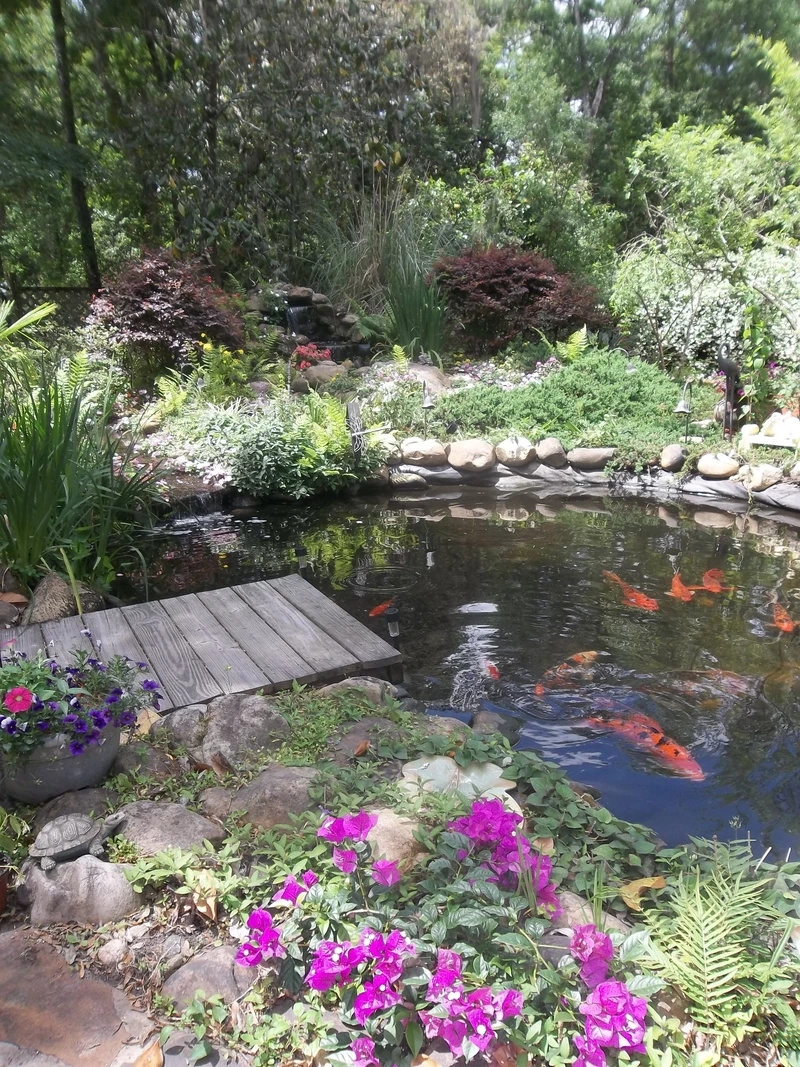 Hồ mini đáng yêu là hồ cá Koi sân vườn mini