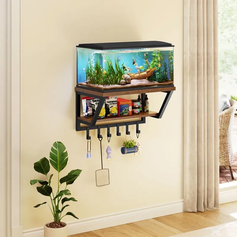 Các loài cá nuôi hồ treo tường