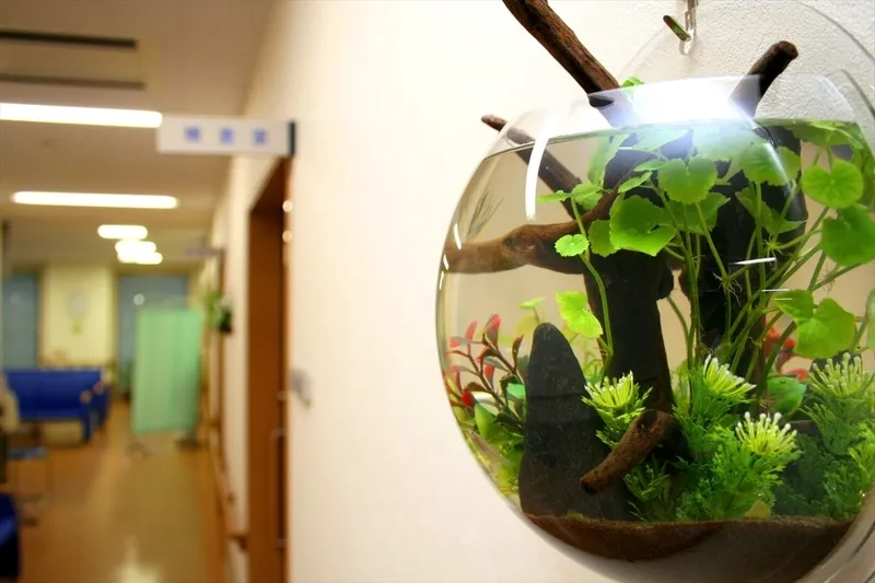 Mẫu hồ cá treo tường phòng khách