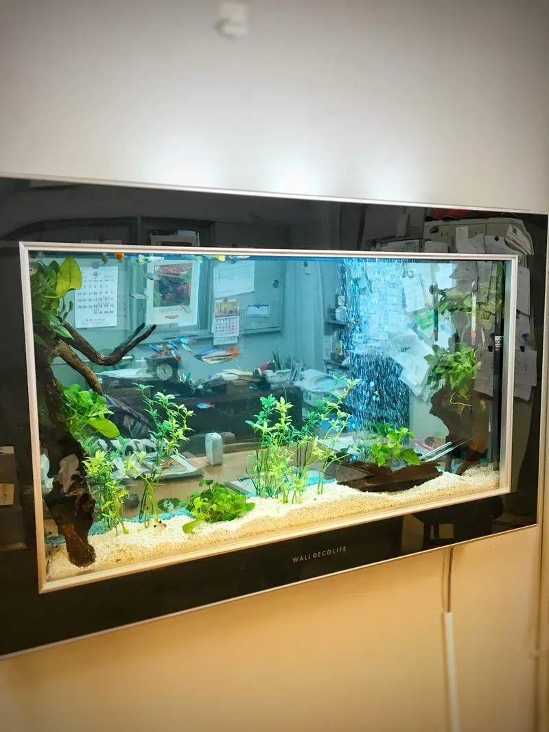 Shop bán hồ cá treo tường tphcm