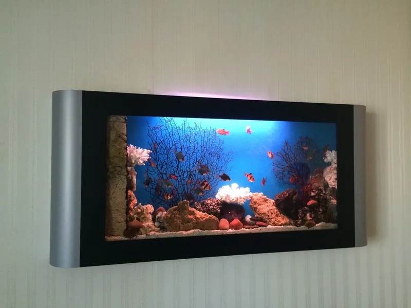 Vị trí phong thủy hồ cá treo tường